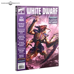 White Dwarf 466
